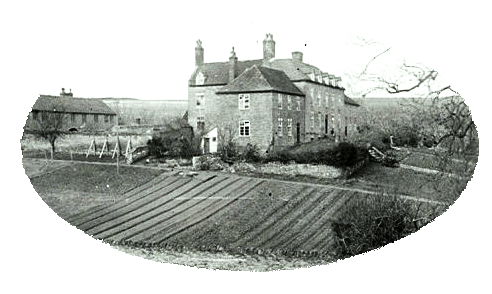 The workhouse